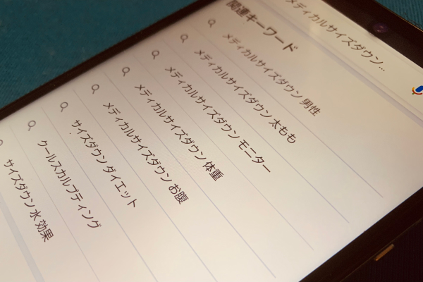 検索している画面の画像