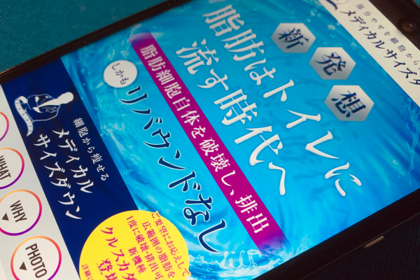 サイトの画像